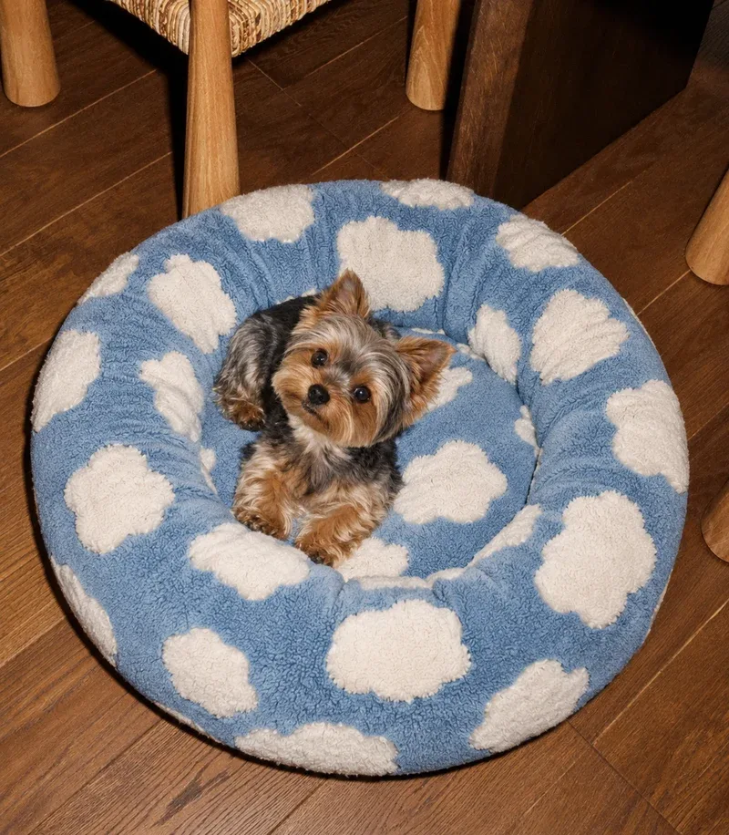 Petit chien dans un panier donut à nuages